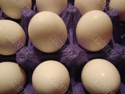 eggs