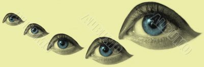 eye macro