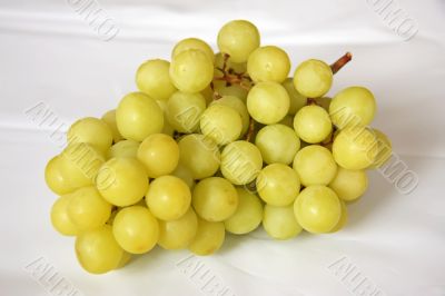 Fresh grapes