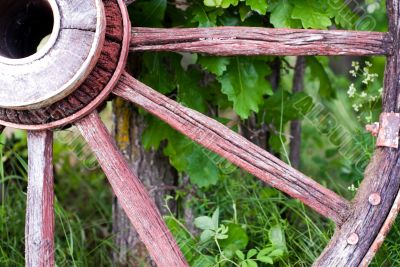 Close-up Wagon Wheel