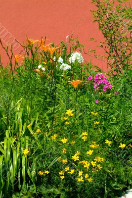 springflowers