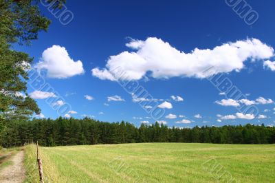 picturesque country road and field #2