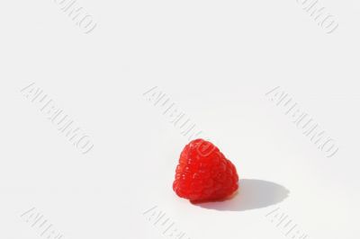 Single raspberry