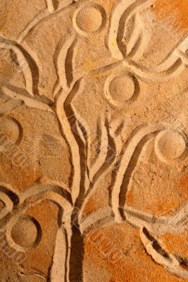 Tree in the sand