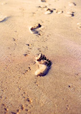 Fresh footprints on sand