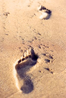 Footprints