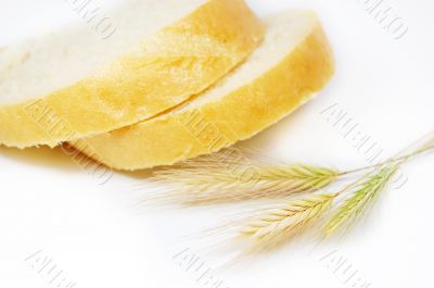 Bread
