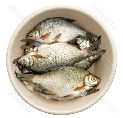 bream for a flue-curing
