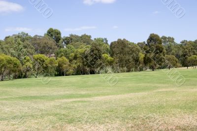Parkland
