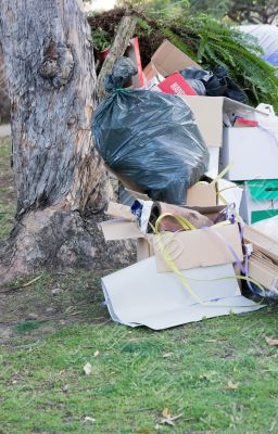 Street Rubbish