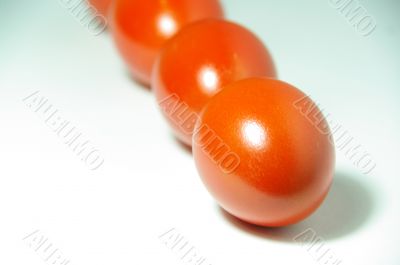 easter egg redd