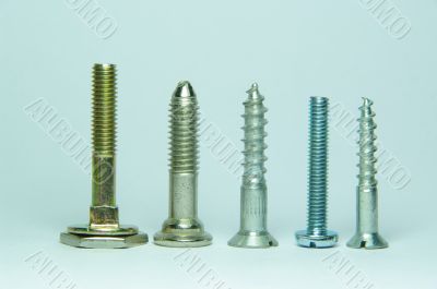 screws