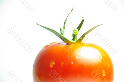 tomato red macro