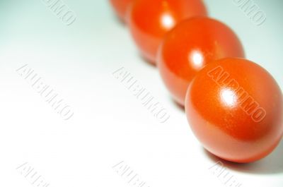 easter egg redd