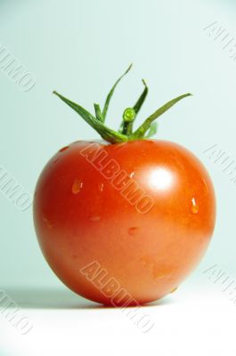 tomato red macro