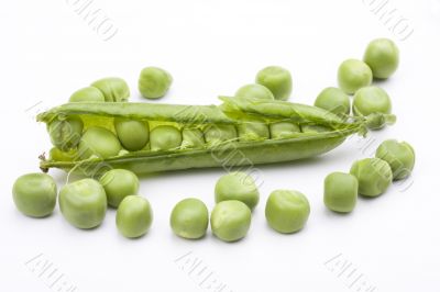 lots of fresh peas