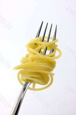 spaghetti