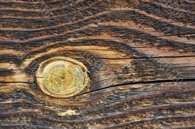 Old dark wood Wall