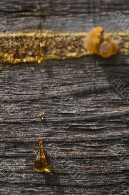 drops of resin on old wooden wal