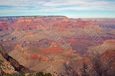 Grand Canyon View