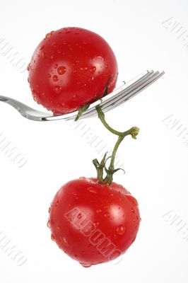 tomatoes