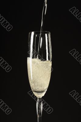 champagne
