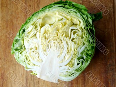 Cabbage3