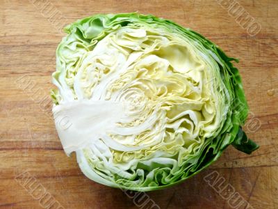 Cabbage1