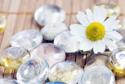 Chamomile and pebble - spa concept