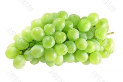 White grapes