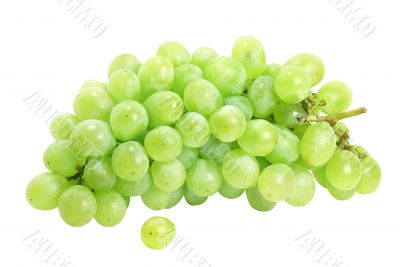 White grapes