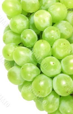 White grapes