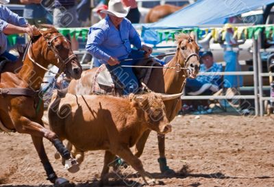 Steer Wrestling