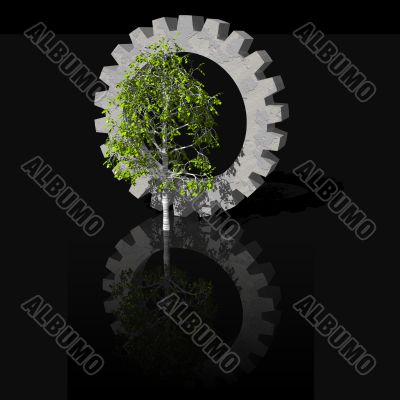birch and gearwheel