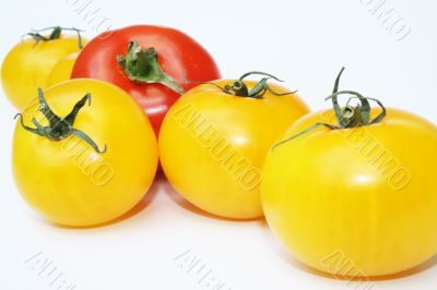 Tomatoes