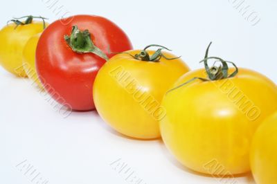 Tomatoes