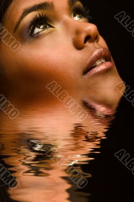 Brown Portrait of Indian woman