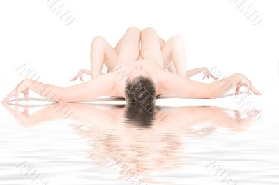 Human Spider Shape
