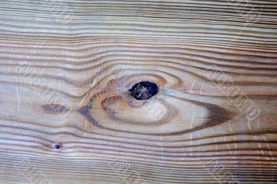 Wood texture