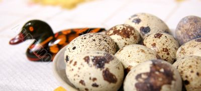 quail eggs