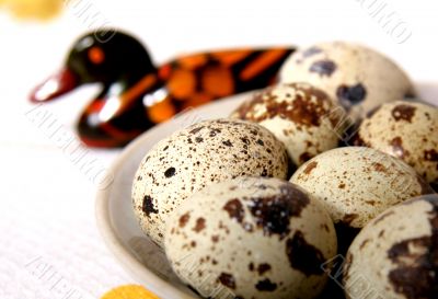 quail eggs