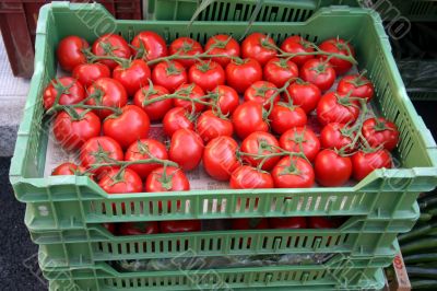 Tomatoes in crates