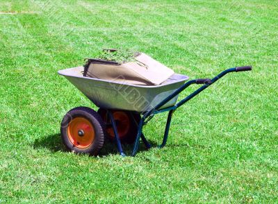 Garden wheelbarrow