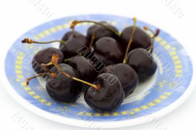sweet cherry