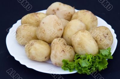 Potatoes