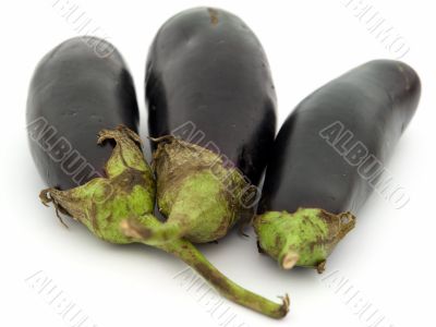 Three big eggplants