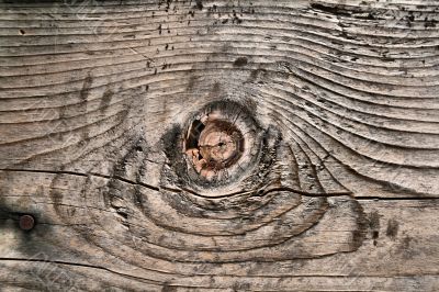 Elements of nature
