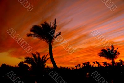 The Egyptian sunset