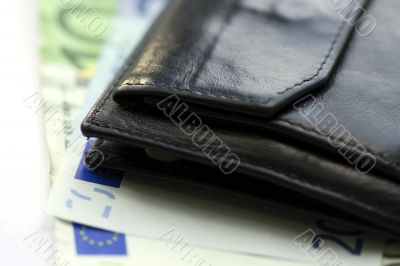 Euro wallet