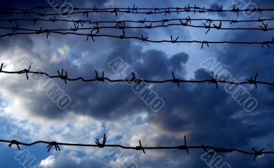 Barbed wire